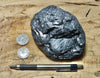 anthracite - teaching hand/display specimen of metamorphic "hard coal" from eastern Pennsylvania