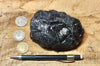 anthracite - teaching hand/display specimen of metamorphic "hard coal" from eastern Pennsylvania