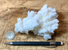 aragonite - "cave calcite"  - El Potosi Mine, Santa Eulalia Mining District, Chihuahua - fluorescent hand/display specimen