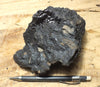 asphalt - large hand/display specimen of natural asphalt from oil seeps on Sulphur Mountain, CA