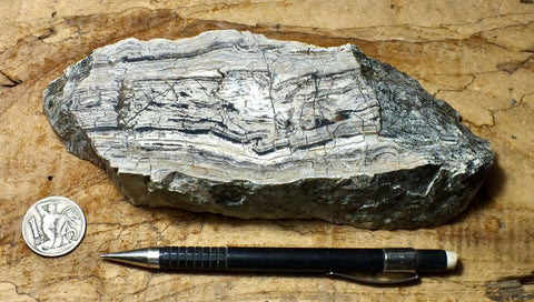 chert - banded chert from the Monterey Formation, California - display specimen