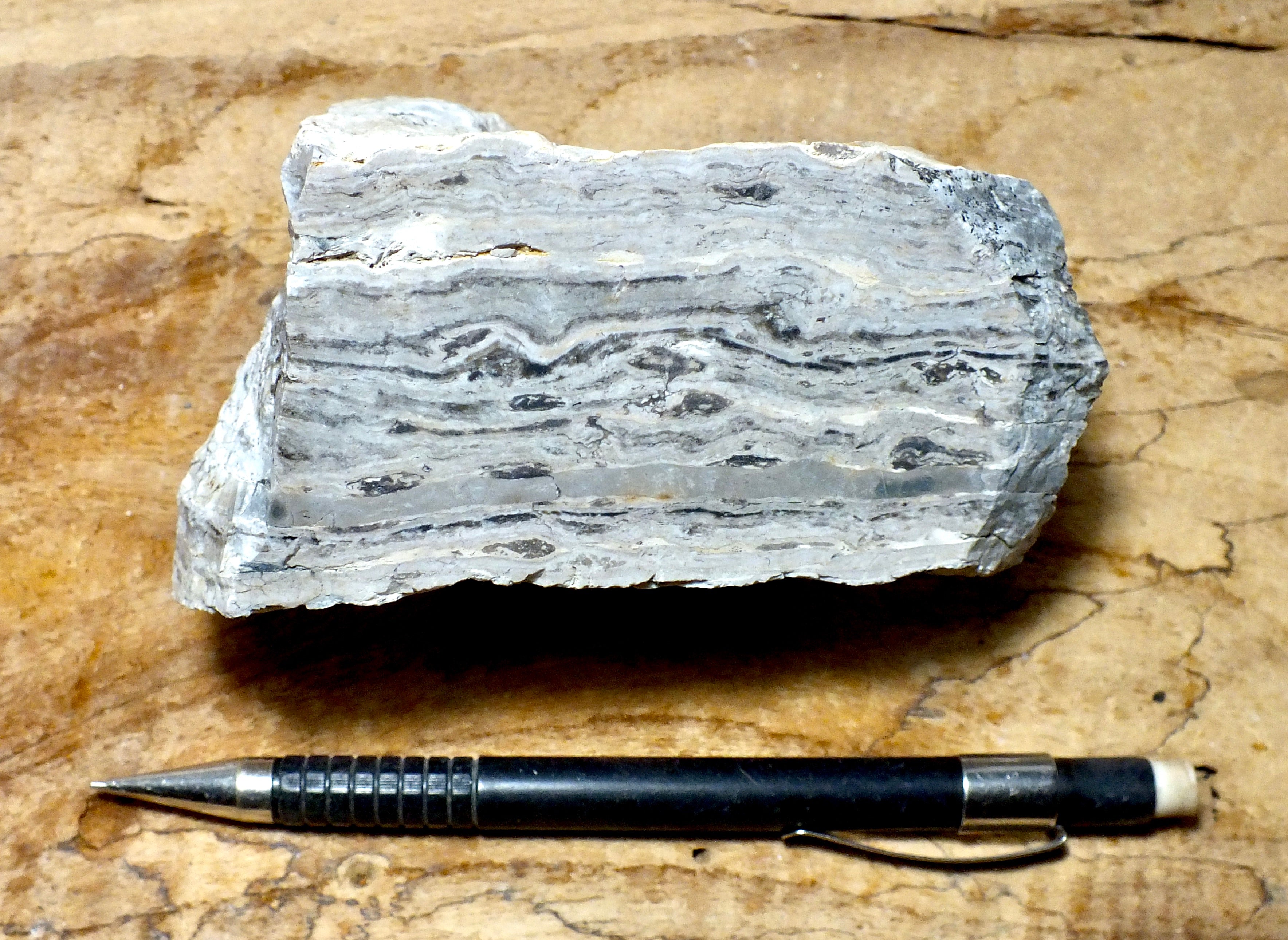 Semed Rocks sedimentary rocks – Geological Specimen Supply