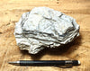 chert - banded chert from the Monterey Formation, California - hand/display specimen