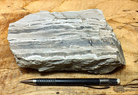 chert - banded chert from the Monterey Formation, California - large hand/display specimen