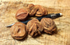 barite rose - teaching set of barite roses from the Garber Sandstone near Noble, east of Norman, Oklahoma