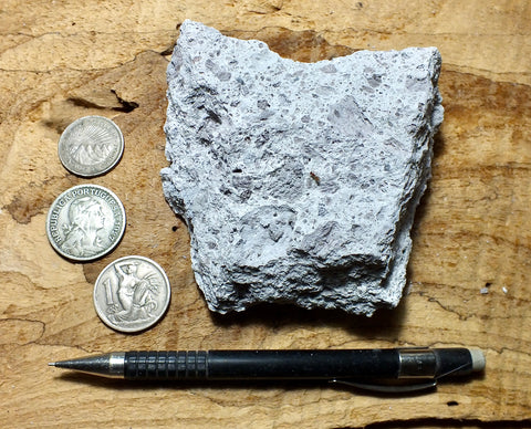tuff - rhyolitic tuff with pumice clasts - a classic ignimbrite or pumice-dominated pyroclastic deposit - teaching hand specimen