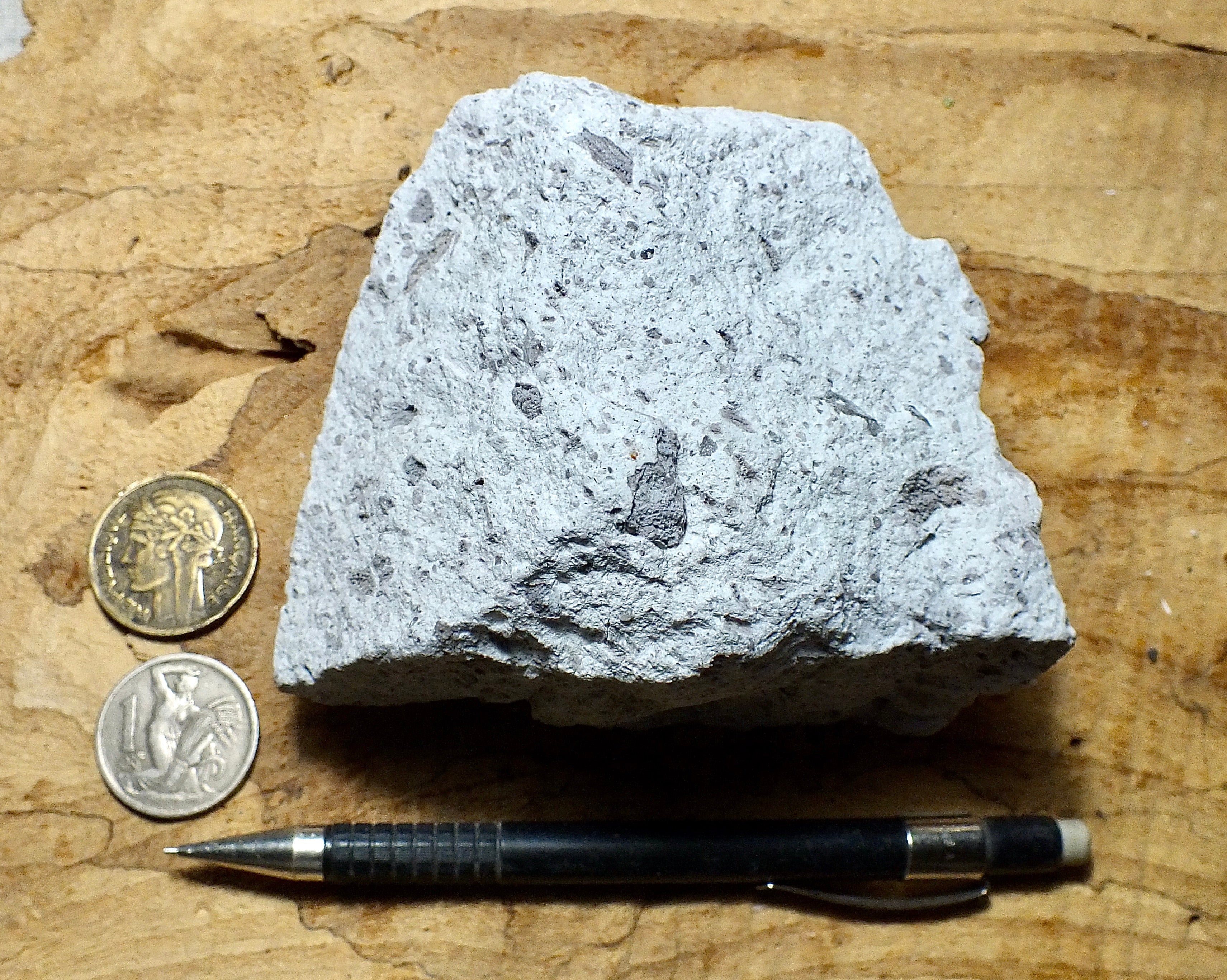 tuff - rhyolitic tuff with pumice clasts - a classic ignimbrite or pum ...