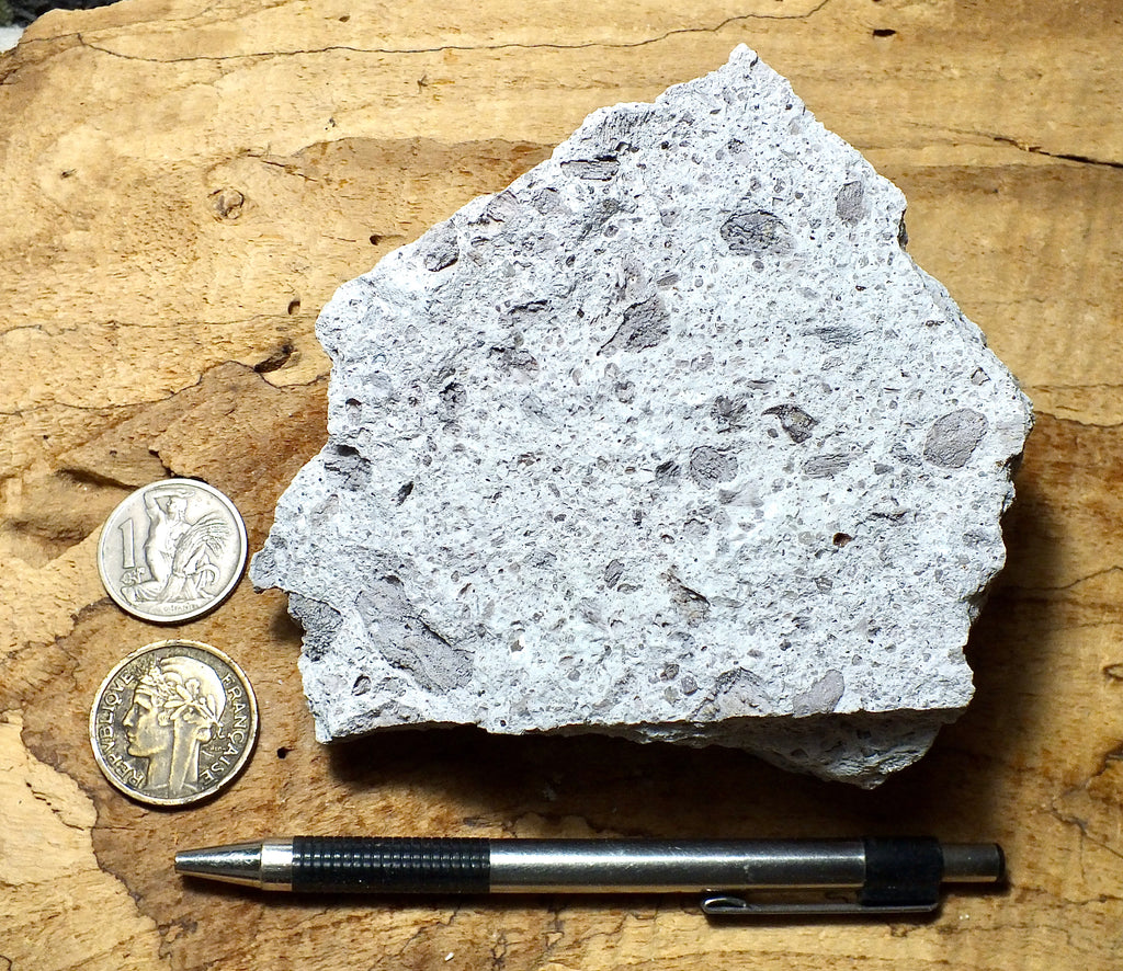 tuff - rhyolitic tuff with pumice clasts - a classic ignimbrite or pum ...