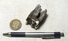 Bison sp. cf. B. antiquus Leidy, 1852 -  fossil tooth from the Pleistocene of Nebraska