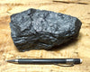 bituminous coal - Bronco Mine, Emery County, Utah - hand/display specimen