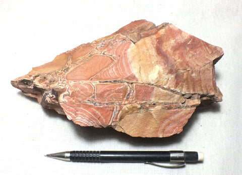 breccia - brecciated rhyolite associated with gold mineralization - hand/display specimen