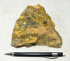 breccia - hydrothermally altered breccia in jasper - hand specimen