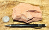 burned shale - teaching hand specimen of burned shale from the Monterey Formation, Ventura County, California
