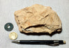 burned shale - teaching hand specimen of burned shale from the Monterey Formation, Ventura County, California