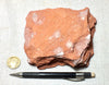 burned shale - teaching hand specimen of burned shale from the Monterey Formation, Ventura County, California