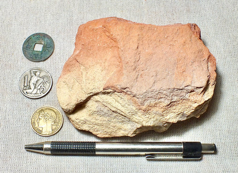 sedimentary rocks – Geological Specimen Supply