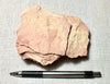 burned shale - teaching hand specimen of burned shale from the Monterey Formation, Ventura County, California