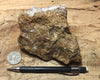 calcite - teaching hand/display specimen of massive naturally-brown calcite