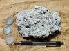 caliche - caliche formed in uplifted Pleistocene lake beds, uncovered and partly dissolved by acidic rain - hand/display specimen