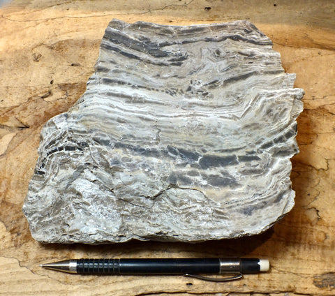chert - banded chert from the Monterey Formation, California - display specimen - Geological Specimen Supply