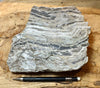 chert - banded chert from the Monterey Formation, California - display specimen - Geological Specimen Supply