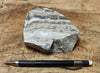 chert - banded chert from the Monterey Formation, California - hand specimen - Geological Specimen Supply