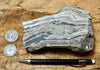 chert - banded chert from the Monterey Formation, California - hand/display specimen - Geological Specimen Supply