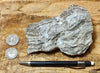 chert - banded chert from the Monterey Formation, California - hand/display specimen