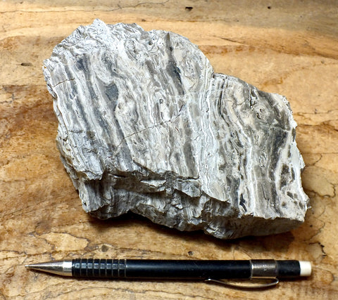chert - banded chert from the Monterey Formation, California - large hand/display specimen - Geological Specimen Supply