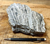 chert - banded chert from the Monterey Formation, California - large hand/display specimen - Geological Specimen Supply