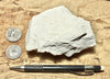 claystone - teaching hand specimen of diatomaceous claystone from the Sisquoc Formation, Santa Barbara County, Calif.