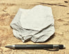 claystone - teaching hand specimen of diatomaceous claystone from the Sisquoc Formation, Santa Barbara County, Calif.