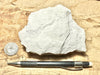 claystone - teaching hand specimen of diatomaceous claystone from the Sisquoc Formation, Santa Barbara County, Calif.