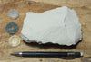 claystone - teaching hand specimen of diatomaceous claystone from the Sisquoc Formation, Santa Barbara County, Calif.