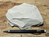 claystone - teaching hand specimen of diatomaceous claystone from the Sisquoc Formation, Santa Barbara County, Calif.