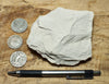 claystone - teaching hand specimen of diatomaceous claystone from the Sisquoc Formation, Santa Barbara County, Calif.