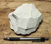 claystone - teaching hand specimen of diatomaceous claystone from the Sisquoc Formation, Santa Barbara County, Calif.