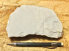 sandstone - Coconino Sandstone - aeolian quartz arenite from northern Arizona - hand/display specimen