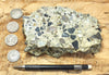 conglomerate - hand/display specimen of conglomeratic limestone from the Brian Head Formation