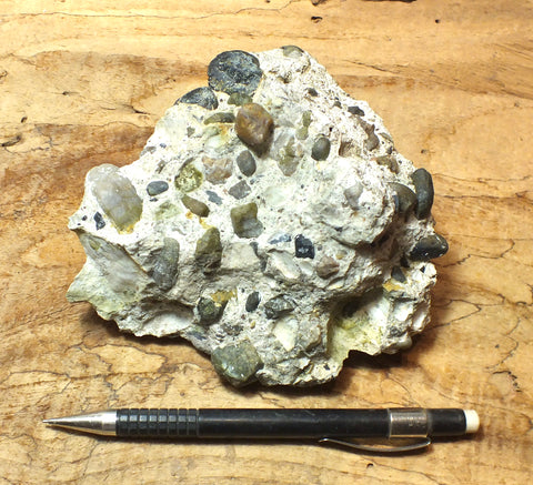 conglomerate - hand/display specimen of conglomeratic limestone from the Brian Head Formation