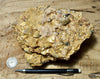 conglomerate - display specimen of the Shinarump Conglomerate, Triassic, Hurricane Mesa, Utah