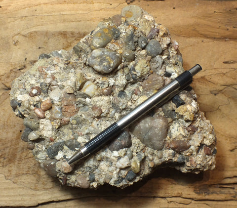 conglomerate - display specimen of the Shinarump Conglomerate, Triassic, Hurricane Mesa, Utah