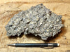 coquina - large hand/display specimen of gray oyster shell coquina from the Imperial Formation, Imperial County, California