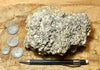 coquina - large hand/display specimen of gray oyster shell coquina from the Imperial Formation, Imperial County, California