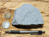 dacite - teaching hand specimen of gray porphyritic dacite