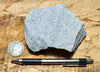 dacite - teaching hand specimen of gray porphyritic dacite
