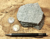 dacite - teaching hand specimen of gray porphyritic dacite