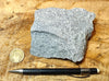 dacite - teaching hand specimen of gray porphyritic dacite