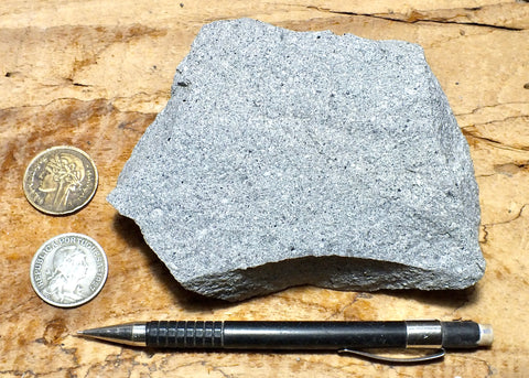 dacite - teaching hand/display specimen of gray porphyritic dacite, a rock common in the Archean continents