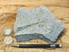 dacite - large hand/display specimen of gray porphyritic dacite, a rock common in the Archean continents